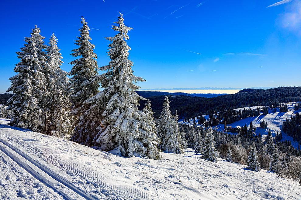View from the Feldberg in Winter