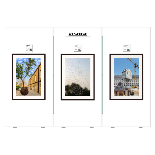 Ausstellungen