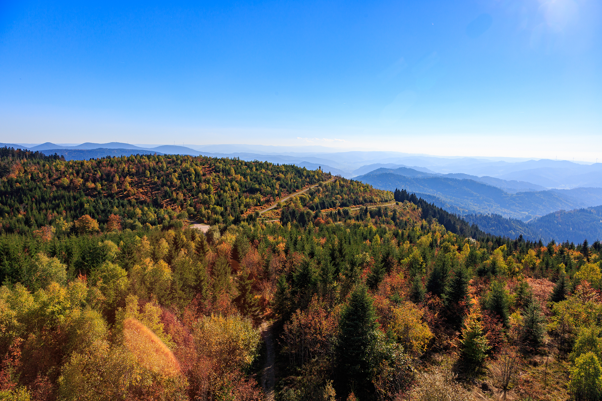 Schwarzwald