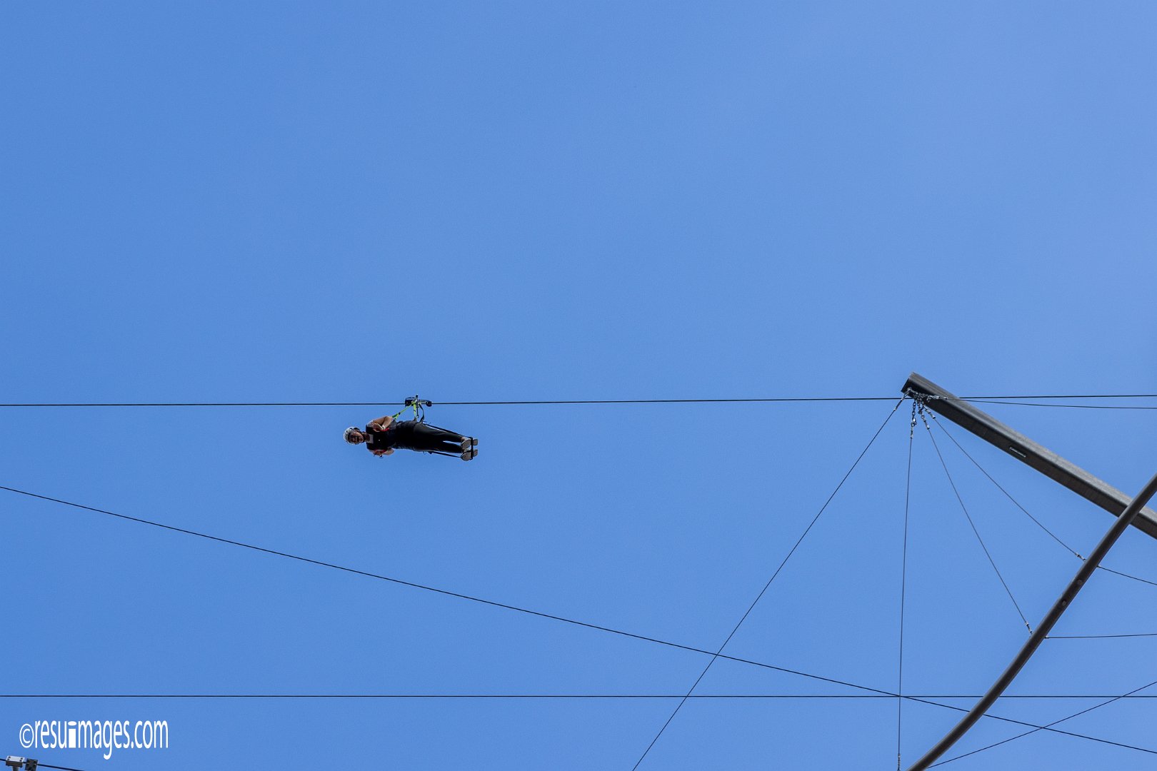 Flying Fox