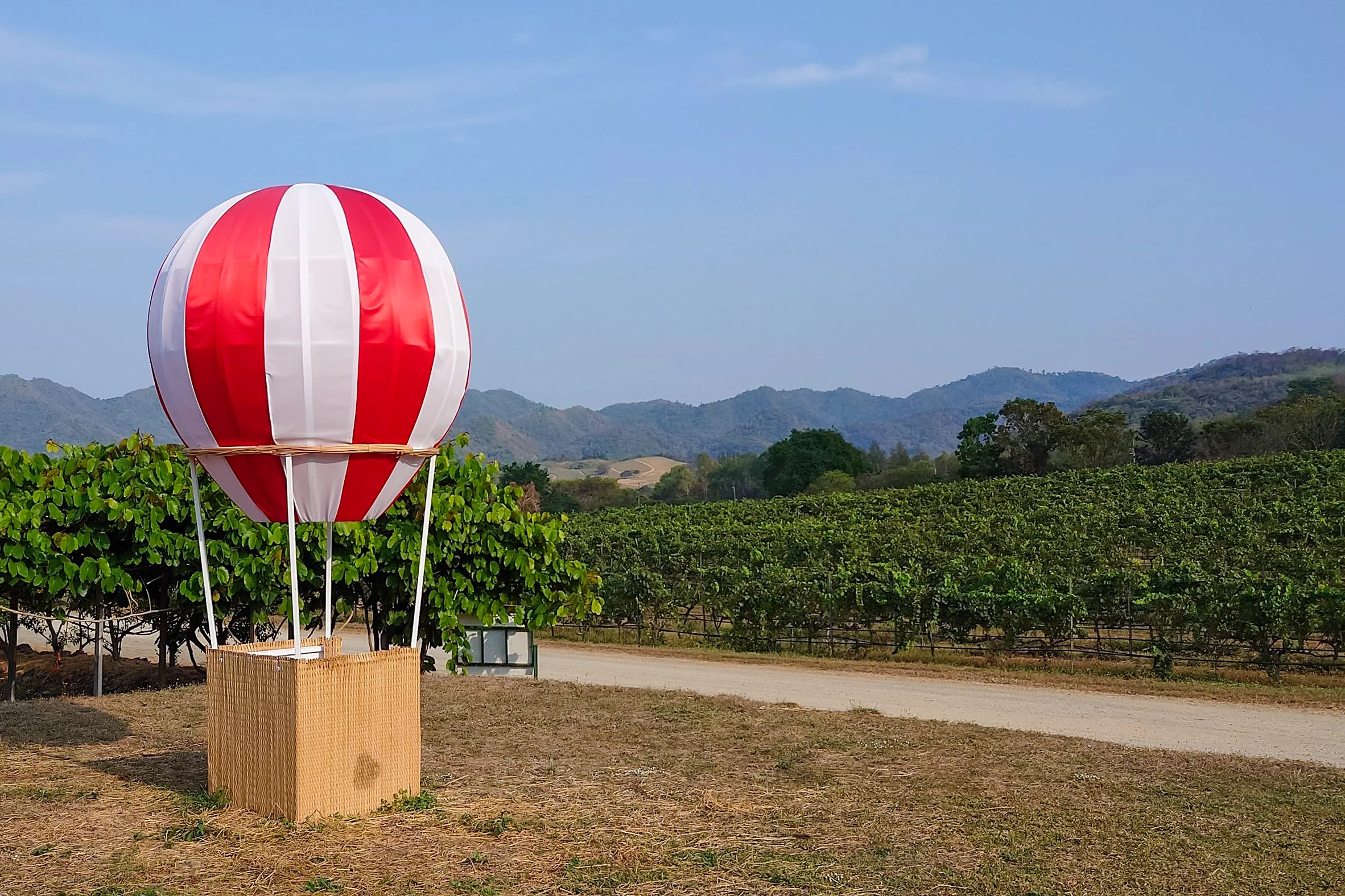hot-air-balloon-monsoon-valley-thailand